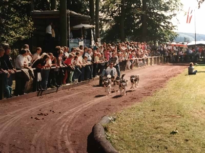 1988-Tag-des-Pferdes-005